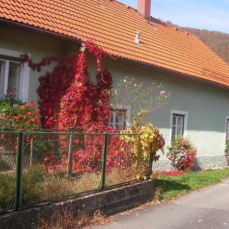 Haus Gerstbauer Appartement Aggsbach Buitenkant foto